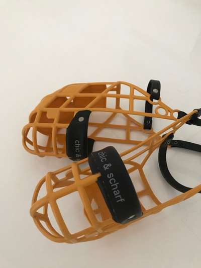 Wo sind die Golden Retriever Liebhaber?-Beitrag-Bild