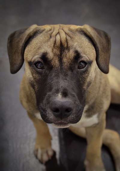 Lieblingsbild :D-Beitrag-Bild