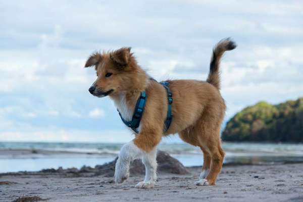 Fotochallenge Nr.100 Urlaubsimpressionen-Beitrag-Bild