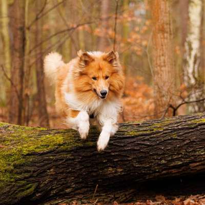 Foto Challenge Nr. 79-Beitrag-Bild