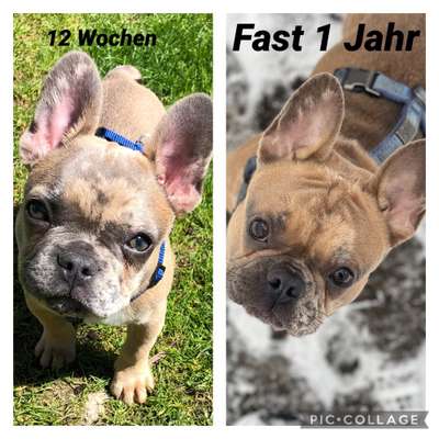 Vorher.... Nachher-Beitrag-Bild