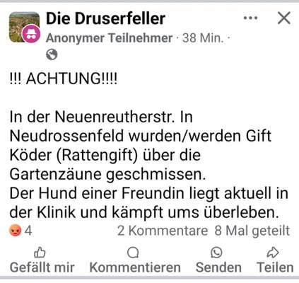 Giftköder-Rattengift!!-Bild