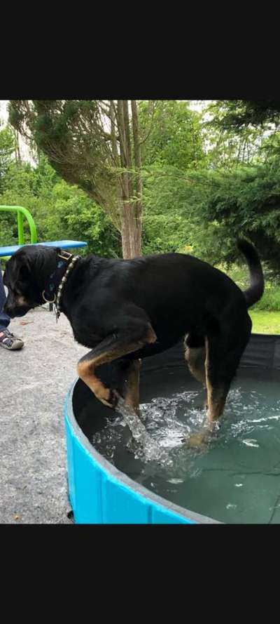 35. Handy Foto Challenge - Das nasse Element-Beitrag-Bild