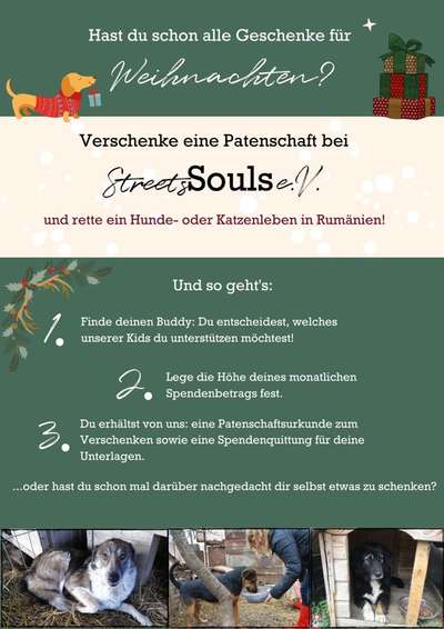 Patenschaft für Hunde-Beitrag-Bild