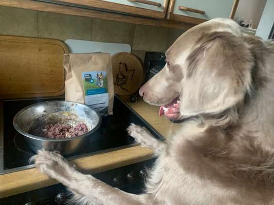 15. Handyfoto Challenge - Indoor Aktivitäten-Beitrag-Bild