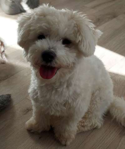 Doppelgänger gesucht !-Beitrag-Bild