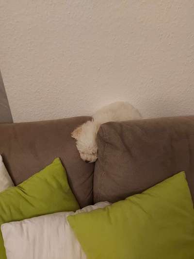 Die unbequemsten und lustigsten Schlafpositionen-Beitrag-Bild