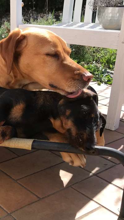 Fotochallenge liebespaare-Beitrag-Bild