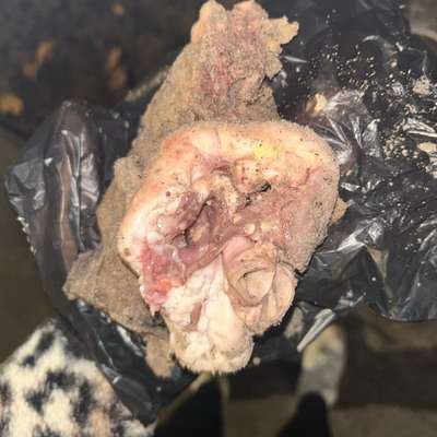 Giftköder-Köder im Hundeauslauf gefunden-Bild