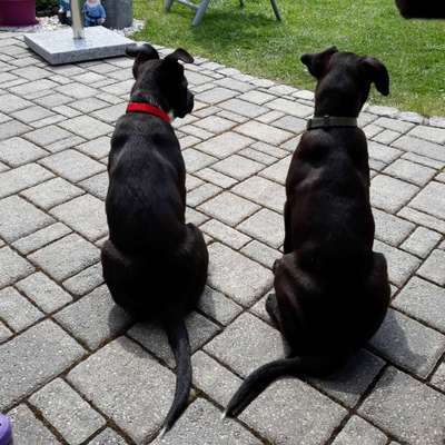 Fotochallenge 69-Beitrag-Bild