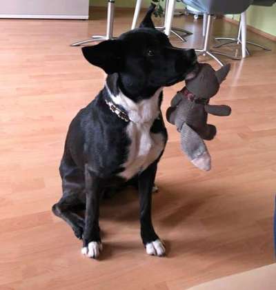 Trick Challenge 13 - Etwas Halten-Beitrag-Bild