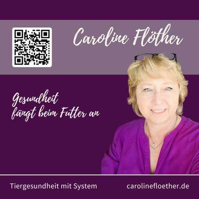 Hundeshops-Richtig-füttern.de-Bild