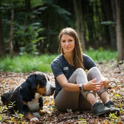 Hundeschulen-Martin Rütter Hundeschule Bonn/Rhein-Sieg-Kreis-Bild