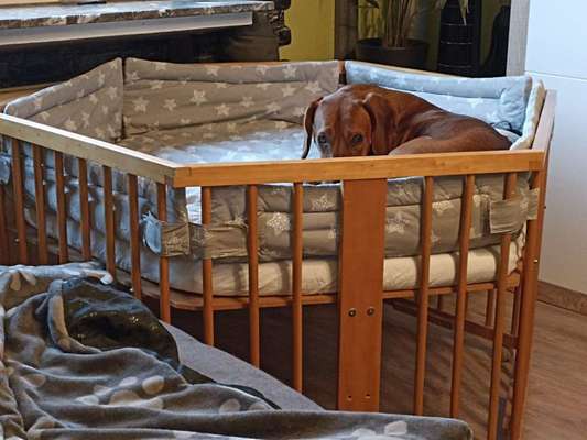 Lustigsten Bilder-Beitrag-Bild