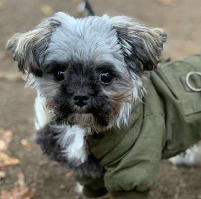 Fotochallange Nr. 57     PORTRÄT.   Beendet!!!!!!!!-Beitrag-Bild