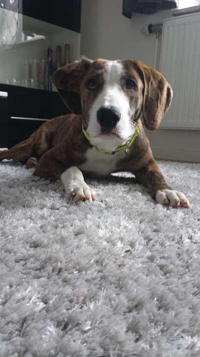 Doppelgänger gesucht !-Beitrag-Bild