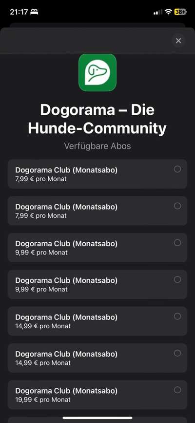 Deine Fragen zum Dogorama Club-Beitrag-Bild