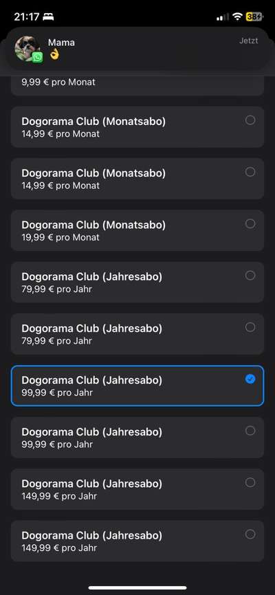 Deine Fragen zum Dogorama Club-Beitrag-Bild