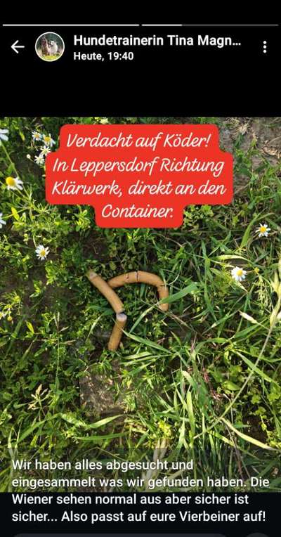 Giftköder-Verdacht auf Köder-Bild