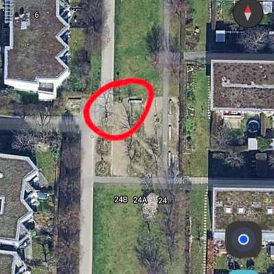 Giftköder-Eventueller Giftköder-Bild