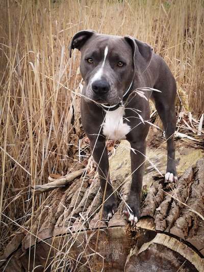 Fotochallenge No. 26                                     Wald und Wiese-Beitrag-Bild