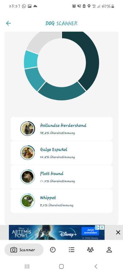 Was steckt in Lilly?-Beitrag-Bild