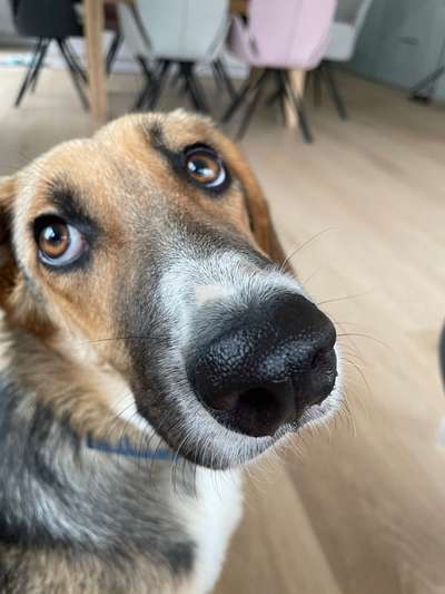 Fotochallange Nr. 57     PORTRÄT.   Beendet!!!!!!!!-Beitrag-Bild