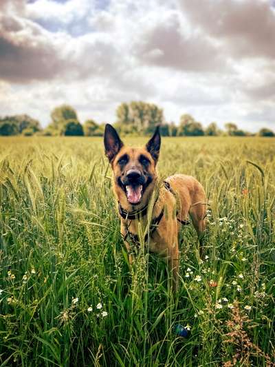 Lieblingsbild-Beitrag-Bild