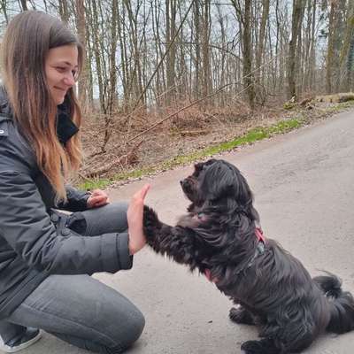 %{de_profession_title}-Tricktraining/geistige Auslastung-Bild