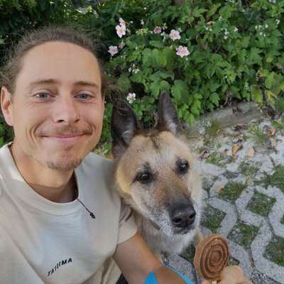 Hundetreffen-Gassi im Großraum Holzkirchen