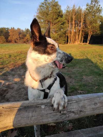 Her mit dem Grimassen-Beitrag-Bild