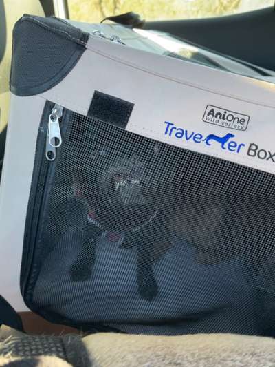 LUSTIGE FOTOS! WER KANN MITHALTEN?-Beitrag-Bild