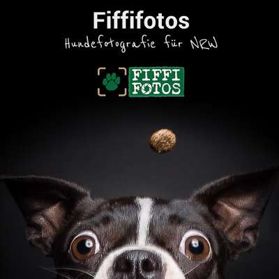 Tierfotografen-Fiffifotos - Guido Leifhelm-Bild