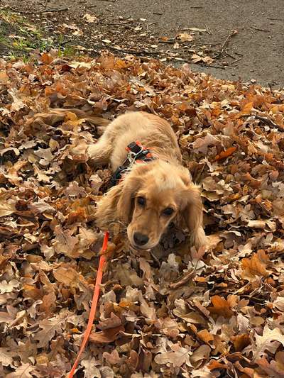 Ton in Ton-Beitrag-Bild