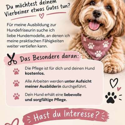 Hundetreffen-Hundemodelle gesucht-Bild