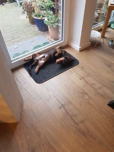 Lustige Grimassen & verrückte Posen-Beitrag-Bild