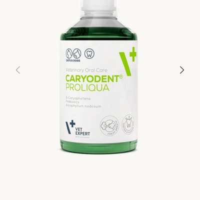 Empfehlung zu Zahnreinigung & Zahnsteinentfernung-Beitrag-Bild