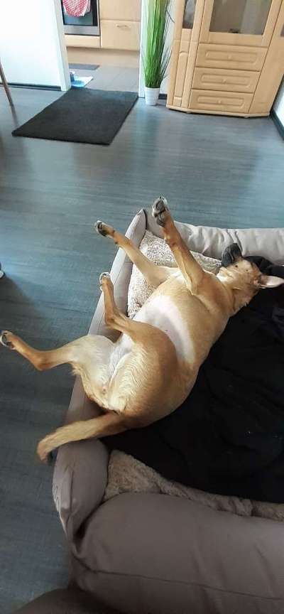 Die unbequemsten und lustigsten Schlafpositionen-Beitrag-Bild