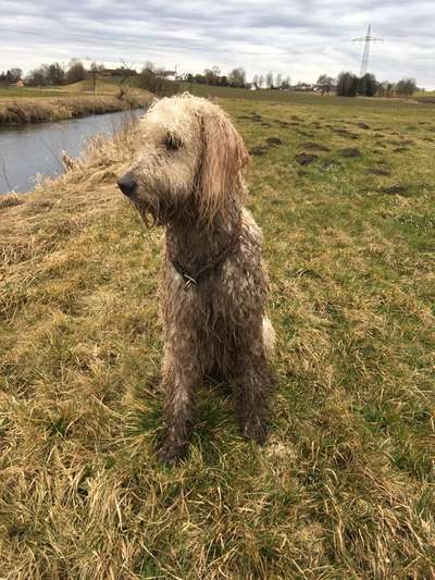 Lieblingsbild-Beitrag-Bild