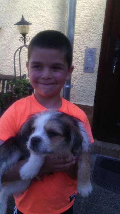 Welpen Bilder !-Beitrag-Bild