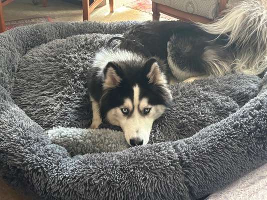 Häufige Vorurteile-Beitrag-Bild