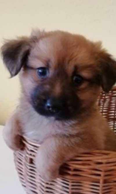 121. Fotochallenge-Beitrag-Bild