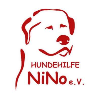 Tierheime-Hundehilfe NiNo e.V.-Bild