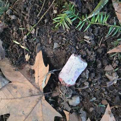 Giftköder-Giftköder Botanischer Garten !😡😡-Bild