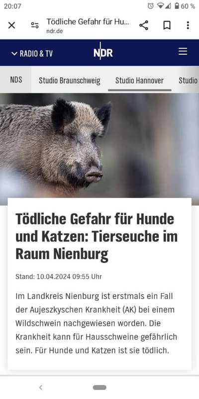 Giftköder-Ansteckende Seuche-Bild