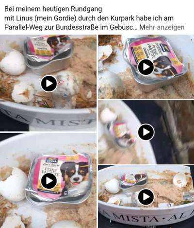 Giftköder-Giftköder Kurpark Bad Rehburg-Bild