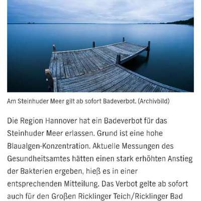 Giftköder-Blaualgen im Steinhuder Meer-Bild