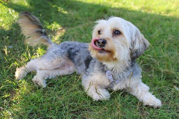 Fotochallenge Nr. 67: Euer Lieblingsbild-Beitrag-Bild