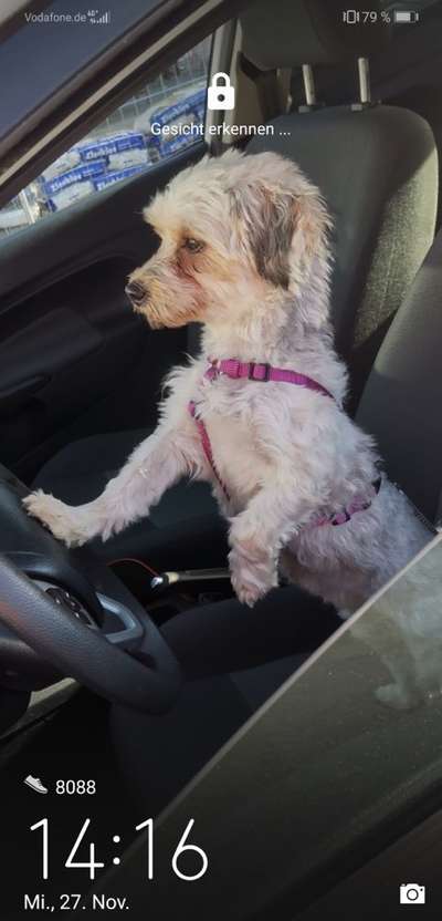 Fotochallenge Nr.65-Beitrag-Bild