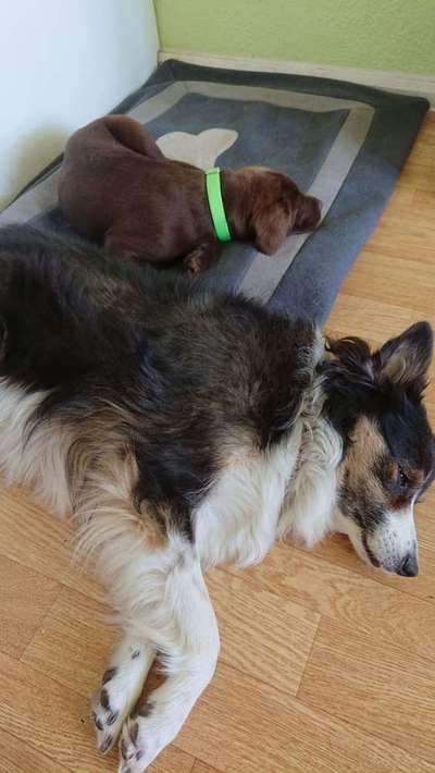 Die unbequemsten und lustigsten Schlafpositionen-Beitrag-Bild